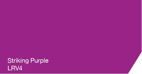 striking-purple