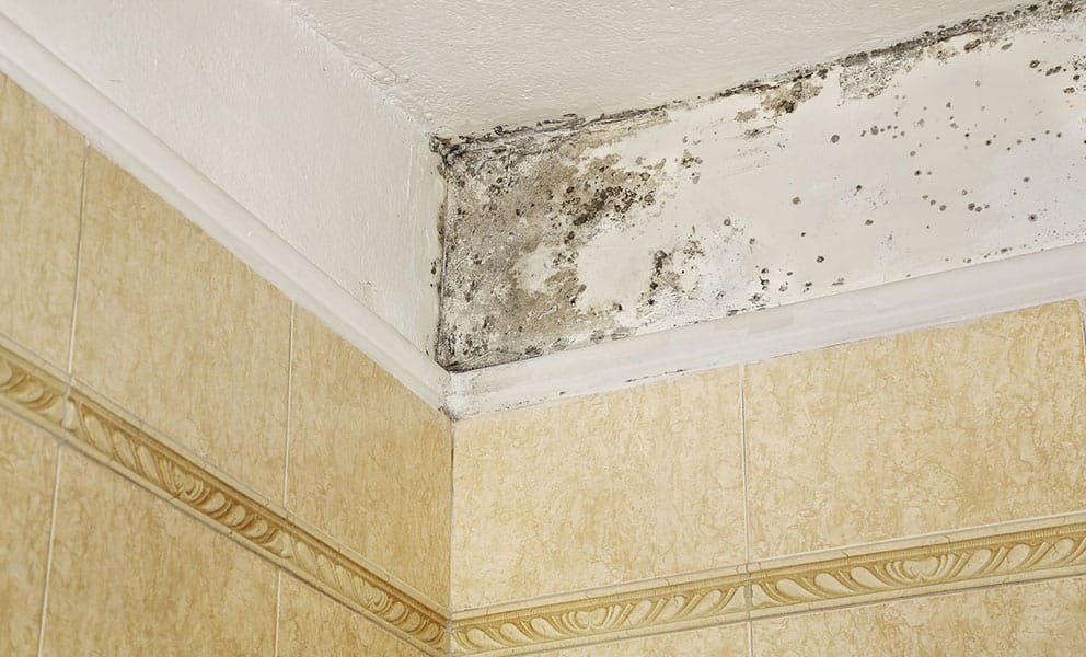 How to Stop Condensation on Walls in Your Bathroom