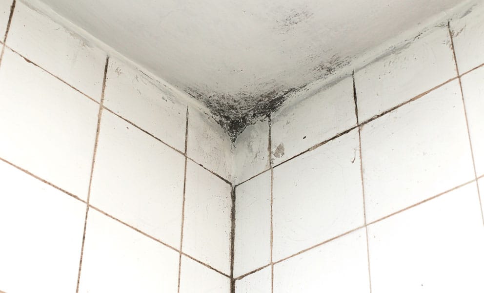 Why Is There Black Mold on My Bathroom Ceiling? - Mold Medics