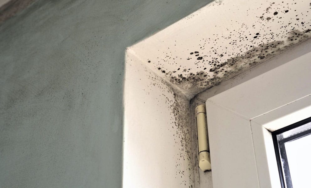 How to get rid of mould store in bathroom